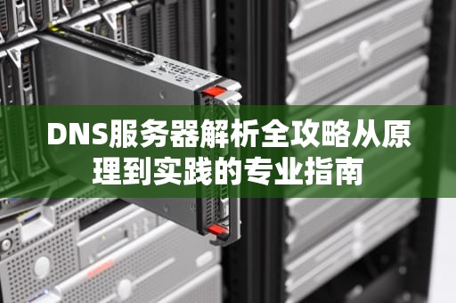 DNS服务器解析全攻略从原理到实践的专业指南