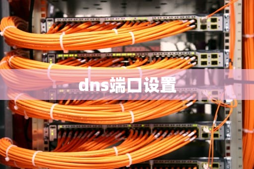 dns端口设置