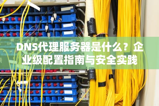 DNS代理服务器是什么？企业级配置指南与安全实践