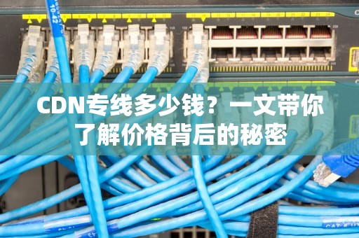 CDN专线多少钱？一文带你了解价格背后的秘密