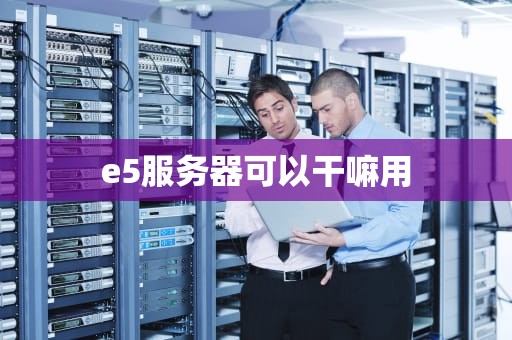 e5服务器可以干嘛用