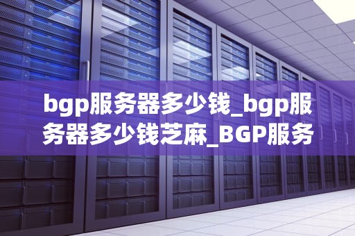bgp服务器多少钱_bgp服务器多少钱芝麻_BGP服务器的价格及其影响因素