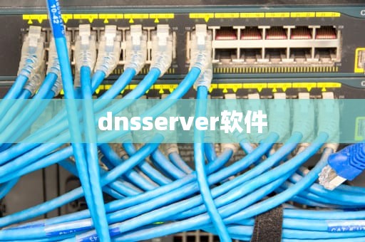 dnsserver软件