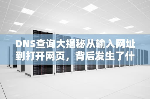 DNS查询大揭秘从输入网址到打开网页，背后发生了什么？