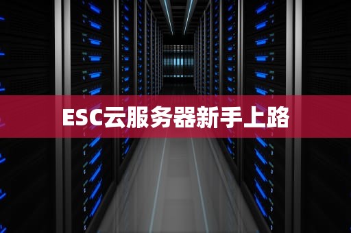 ESC云服务器新手上路