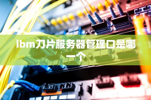 ibm刀片服务器管理口是哪一个