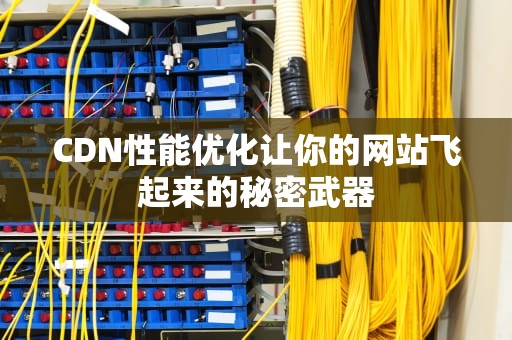 CDN性能优化让你的网站飞起来的秘密武器