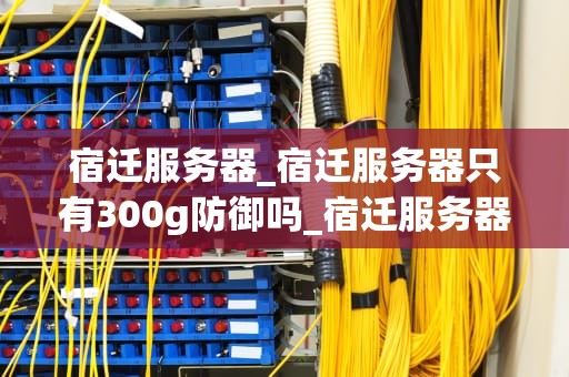 宿迁服务器_宿迁服务器只有300g防御吗_宿迁服务器的发展历程与应用