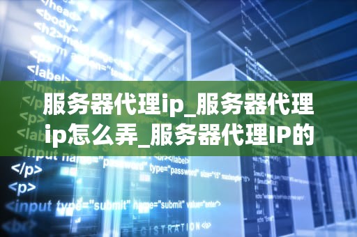 服务器代理ip_服务器代理ip怎么弄_服务器代理IP的全面解析与应用