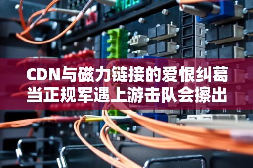 CDN与磁力链接的爱恨纠葛当正规军遇上游击队会擦出什么火花？