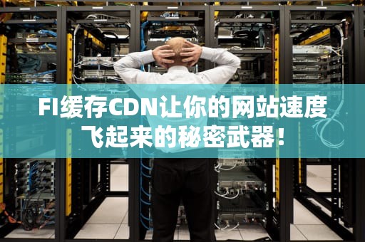 FI缓存CDN让你的网站速度飞起来的秘密武器！