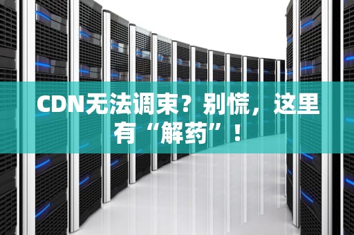 CDN无法调束？别慌，这里有“解药”！