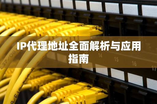 IP代理地址全面解析与应用指南