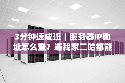 3分钟速成班｜服务器IP地址怎么查？连我家二哈都能学会的保姆级教程