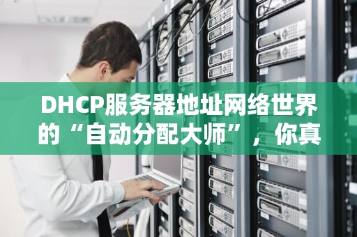 DHCP服务器地址网络世界的“自动分配大师”，你真的了解它吗？