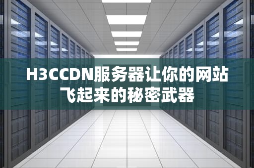 H3CCDN服务器让你的网站飞起来的秘密武器