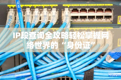 IP段查询全攻略轻松掌握网络世界的“身份证”