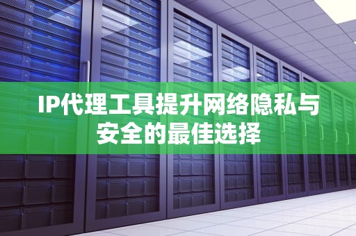 IP代理工具提升网络隐私与安全的最佳选择
