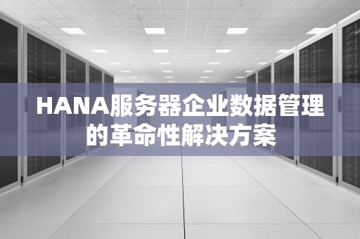 HANA服务器企业数据管理的革命性解决方案