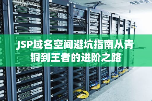 JSP域名空间避坑指南从青铜到王者的进阶之路