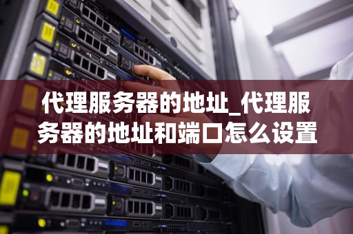 代理服务器的地址_代理服务器的地址和端口怎么设置_代理服务器的地址及其重要性