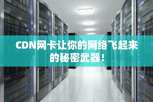 CDN网卡让你的网络飞起来的秘密武器！