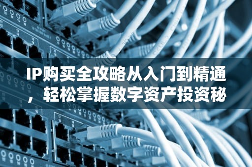 IP购买全攻略从入门到精通，轻松掌握数字资产投资秘籍