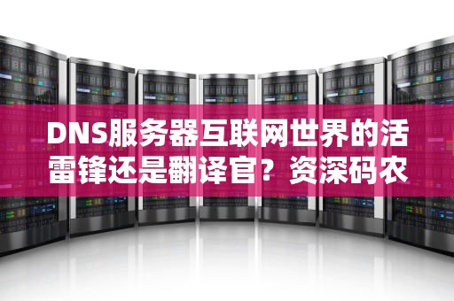 DNS服务器互联网世界的活雷锋还是翻译官？资深码农带你解锁域名解析黑科技