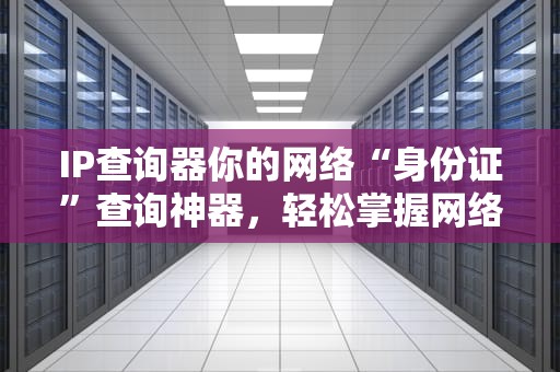 IP查询器你的网络“身份证”查询神器，轻松掌握网络世界