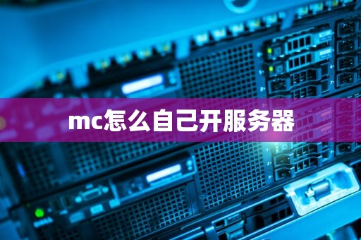 mc怎么自己开服务器
