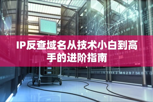 IP反查域名从技术小白到高手的进阶指南