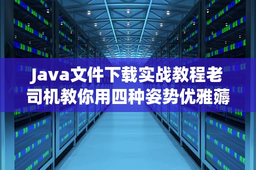 Java文件下载实战教程老司机教你用四种姿势优雅薅服务器羊毛
