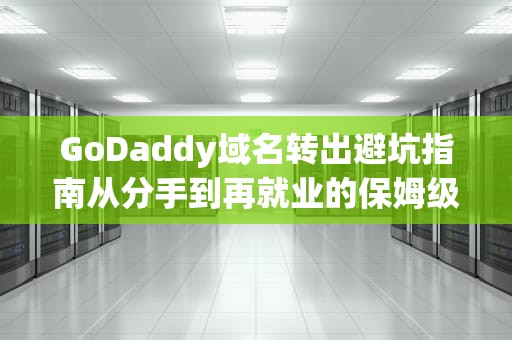 GoDaddy域名转出避坑指南从分手到再就业的保姆级教程