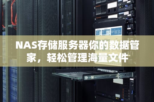 NAS存储服务器你的数据管家，轻松管理海量文件