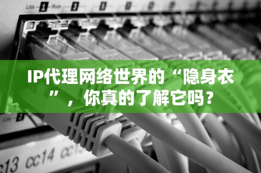 IP代理网络世界的“隐身衣”，你真的了解它吗？