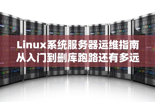 Linux系统服务器运维指南从入门到删库跑路还有多远？