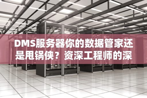 DMS服务器你的数据管家还是甩锅侠？资深工程师的深度吐槽