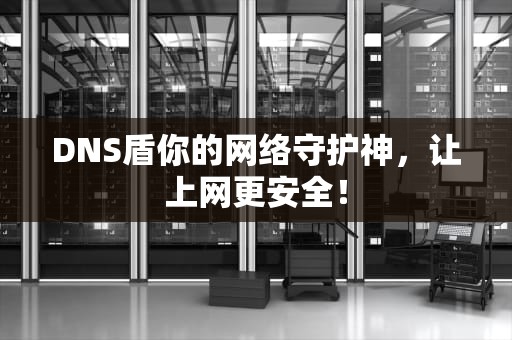 DNS盾你的网络守护神，让上网更安全！