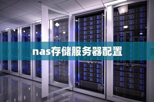 nas存储服务器配置