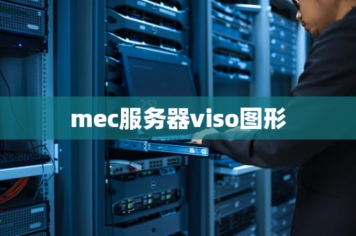 mec服务器viso图形
