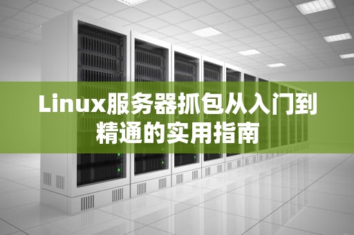 Linux服务器抓包从入门到精通的实用指南