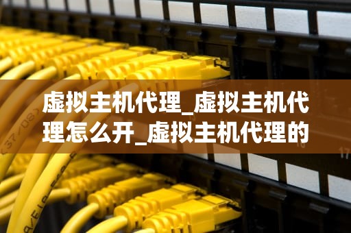 虚拟主机代理_虚拟主机代理怎么开_虚拟主机代理的深度解析