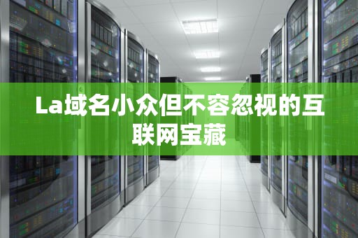 La域名小众但不容忽视的互联网宝藏