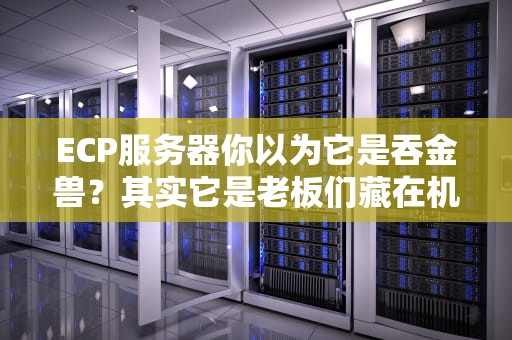ECP服务器你以为它是吞金兽？其实它是老板们藏在机房的印钞机！