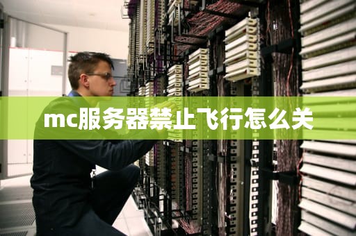 mc服务器禁止飞行怎么关
