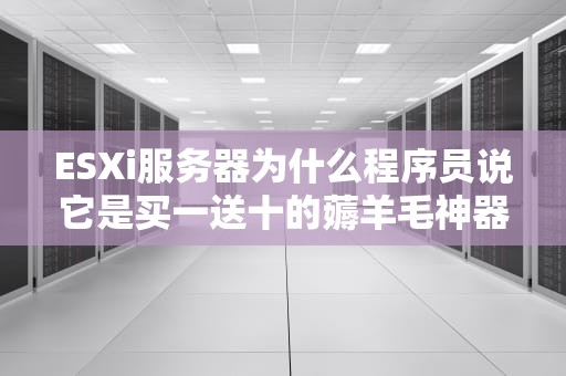ESXi服务器为什么程序员说它是买一送十的薅羊毛神器？