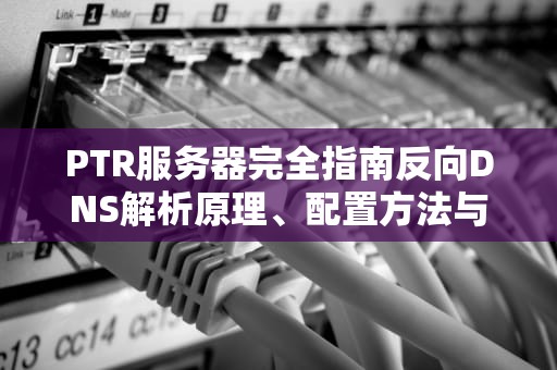 PTR服务器完全指南反向DNS解析原理、配置方法与故障排查技巧