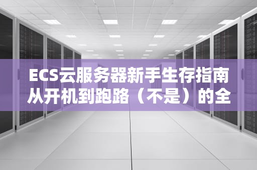ECS云服务器新手生存指南从开机到跑路（不是）的全套骚操作