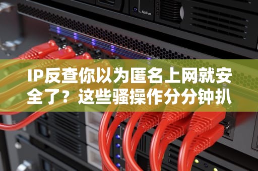 IP反查你以为匿名上网就安全了？这些骚操作分分钟扒光你的马甲！