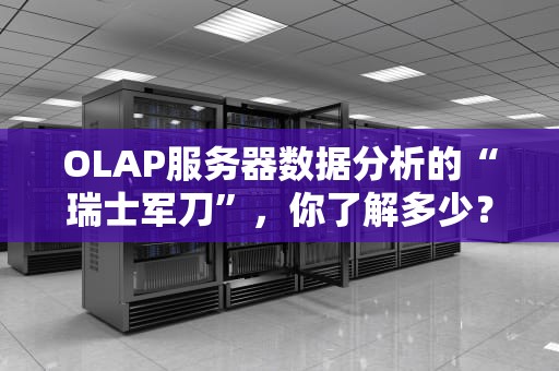OLAP服务器数据分析的“瑞士军刀”，你了解多少？